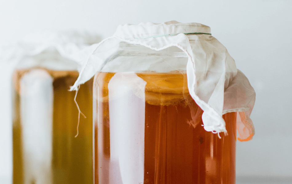 os-beneficios-da-kombucha-para-saude