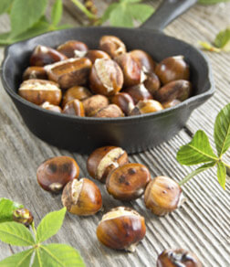 banner14 - Loja Biomarket