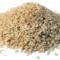 Gergelim SEM CASCA - 1kg biomarket gergelim sem casca. 200x200 - Gergelim SEM CASCA - 1kg
