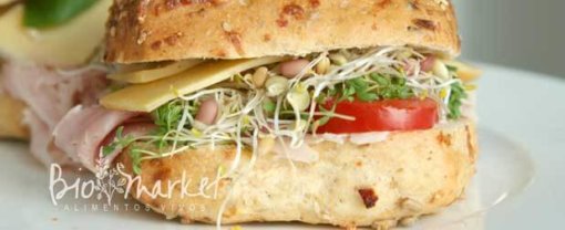 biomarket alimentos funcionais como nao sair da dieta 510x208 - Como não sair da dieta no fim de semana