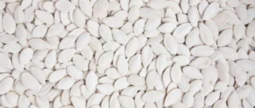 biomarket aperitivos de abobora 510x217 - Aperitivo: Sementes de Abóbora