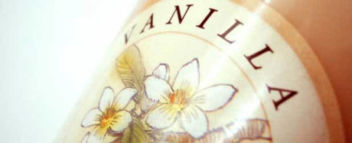 biomarket baunilha natural perde 510x208 - Baunilha natural perde seu sabor na Índia