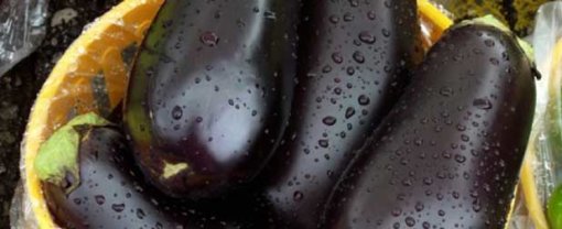 biomarket berinjela recheada com palmito 510x208 - Berinjela recheada com palmito e nóz macadâmia