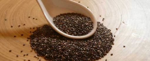biomarket chia para emagrecer 510x208 - Chia para emagrecer funciona mesmo?