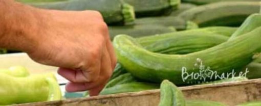 biomarket feiras de alimentos organicos pelo pais 510x208 - Feiras de alimentos orgânicos pelo país