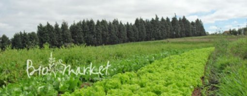 biomarket noticias alimentacao organica por um mundo sustentavel 510x199 - Alimentação orgânica por um mundo sustentável