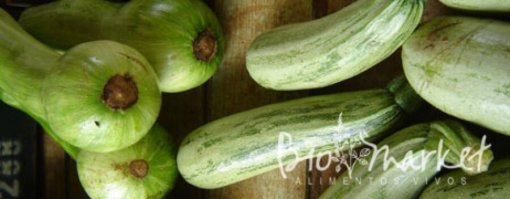 biomarket noticias alimento vivo o chip da vida 510x199 - Alimento vivo: o chip da vida