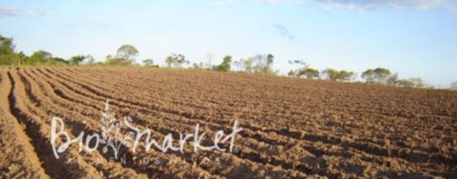 biomarket noticias farinha de linhaca 510x200 - Farinha de Linhaça