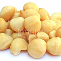 biomarket noz macadamia sem sal z2 200x200 - Noz Macadâmia crua SEM SAL -  500g