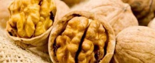 biomarket nozes castanhas amendoas noz 510x207 - Nozes, Castanhas e Amêndoas