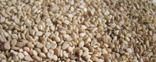 biomarket receitas biscoito de gergelim 510x204 - Biscoito de Gergelim