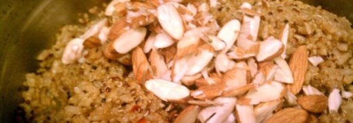 biomarket receitas quinua com amendoa e damasco 510x178 - Quinua com Amêndoa e Damasco