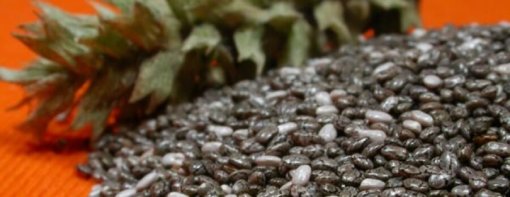 Receita de Mousse de Chia biomarket receitas receita de mousse de chia 510x197 - Receita de Mousse de Chia