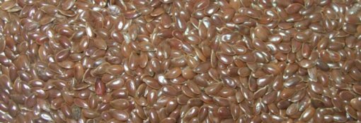 biomarket receitas vitamina com semente de linhaca 510x175 - Receitas