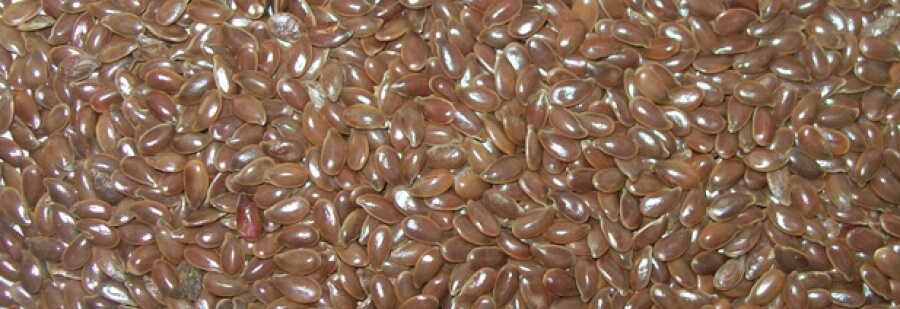 biomarket receitas vitamina com semente de linhaca - Linhaça, pequena só no tamanho