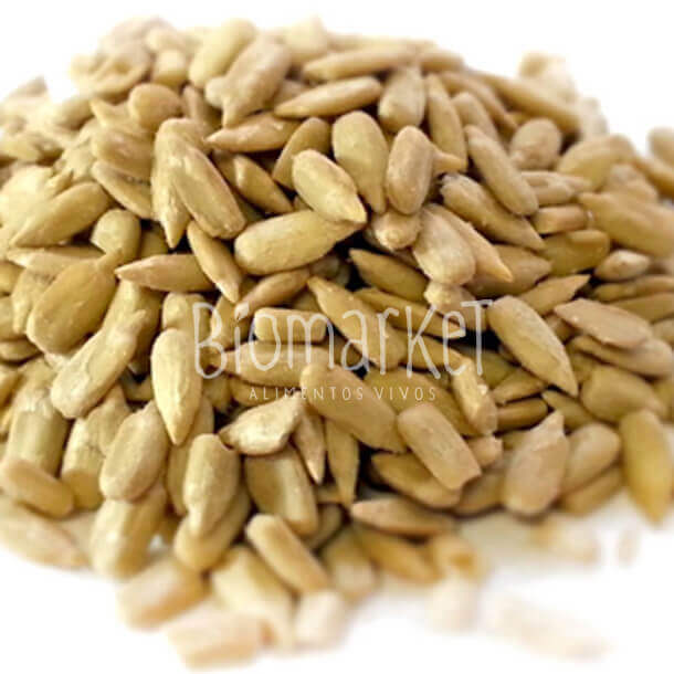biomarket_semente_de_girassol_crua_sem_sal_z Semente de Girassol CRUA SEM SAL - 1kg - Image 2