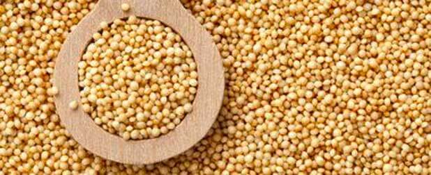 biomarket beneficios amaranto - Conheça os benefícios do Amaranto