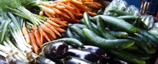 biomarket artigos a importancia dos alimentos organicos 510x208 - A importância dos Alimentos Orgânicos