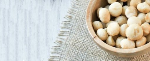 biomarket artigos macadamia e suas propriedades 510x209 - Macadâmia e suas propriedades
