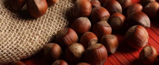 biomarket artigos os beneficios da avela 510x208 - Os beneficios da Avelã