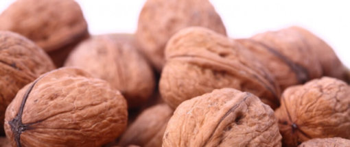 biomarket artigos 6 nozes por dia para combater o colesterol 510x215 - 6 nozes por dia para combater o colesterol