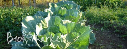 biomarket artigos comer ato revolucionario 510x199 - Comer, ato revolucionário?