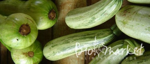 biomarket noticias venda de organicos cresce 20 ao ano 510x217 - Venda de orgânicos cresce 20% ao ano e gera oportunidades