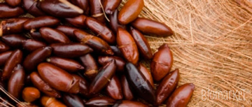 biomarket artigos joia do cerrado 510x217 - Joia do cerrado