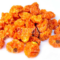 Golden Berry Desidratada - 150g biomarket goldenberry z 200x200 - Golden Berry Desidratada - 150g