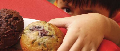 bolodefrutassecas biomarket 11 510x217 - Bolo de frutas desidratadas com farinha de coco sem leite e sem ovos