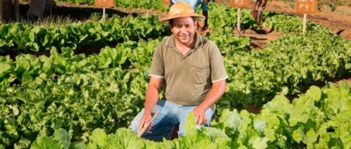 biomarket feira de organicos de sp 510x217 - Estão abertas as inscrições para participar da Feira de Orgânicos em SP