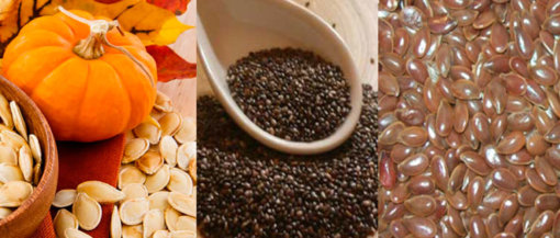 biomarket semente de abóbora chia linhaça 510x217 - Sementes de abóbora, linhaça e chia fazem bem à saúde