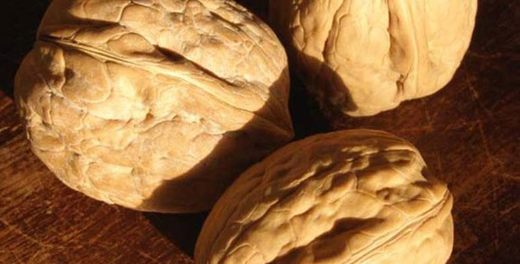 nozes sao a melhor gordura para reduzir colesterol - Nozes são a melhor gordura para reduzir peso e colesterol