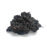 Amora Desidratada 1kg amoras desidratadas biomarket thumb 200x200 - Amora Desidratada 1kg