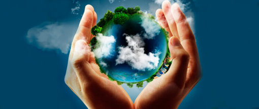 biomarket agriculturaorganica 1 510x216 - Prêmio mundial de agricultura orgânica vai para brasileira de 92 anos