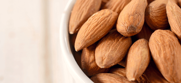 almonds bio - Os 11 fatos mais interessantes sobre amêndoas