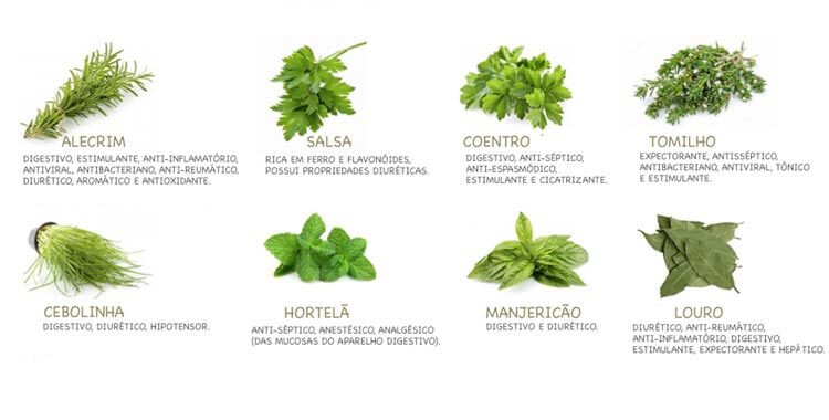 Os benefícios das Ervas aromaticas