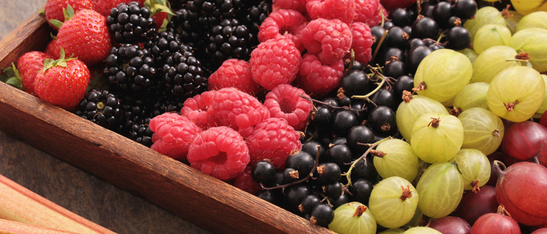 biomarket tabela de medidas caseiras de uma porcao de frutas - Tabela de medidas caseiras de uma porção de frutas