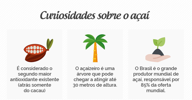 Conheça os benefícios do Açaí curiosidades acai - Conheça os benefícios do Açaí