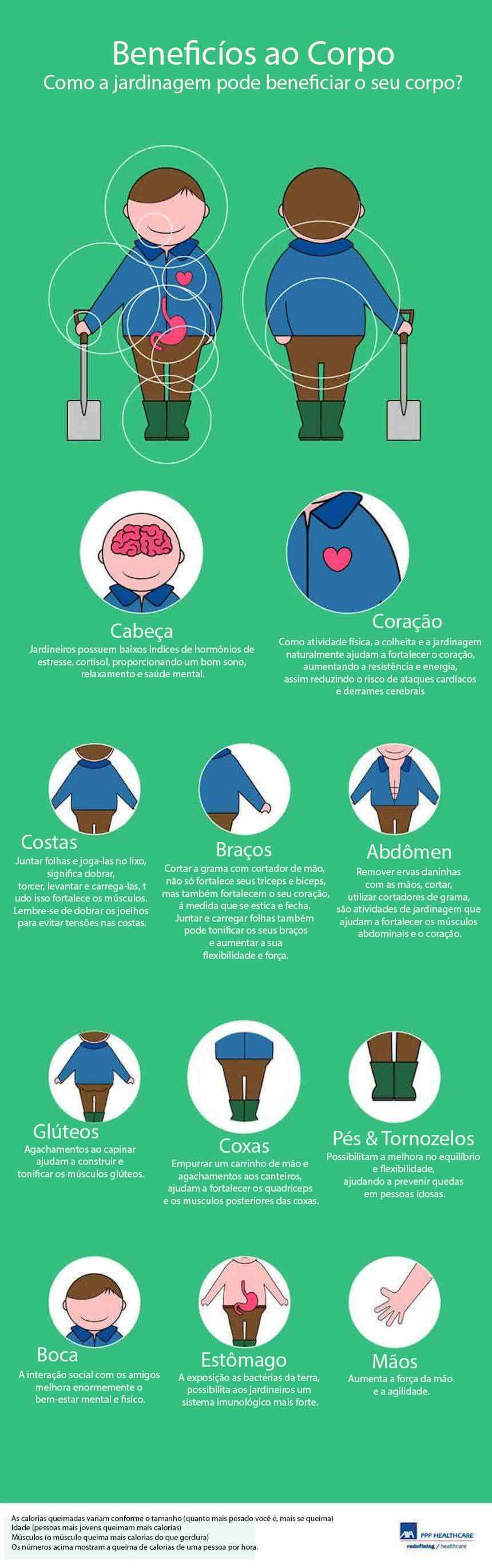 Uma hora trabalhando na horta proporciona saúde em dobro! biomarket post grafico2 jardinagem colheita horta rev2 - Uma hora trabalhando na horta proporciona saúde em dobro!