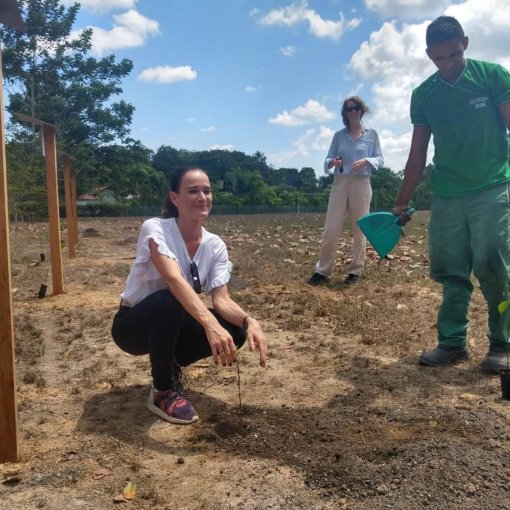 biomarket fazenda aruana recebe delegacao alemanha 6 510x510 - Econut recebe delegação da Alemanha em Aruanã