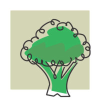 alimentos organicos biomarket 200x200 - Home