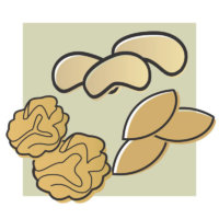 castanhas nozes amendoas biomarket 200x200 - Home